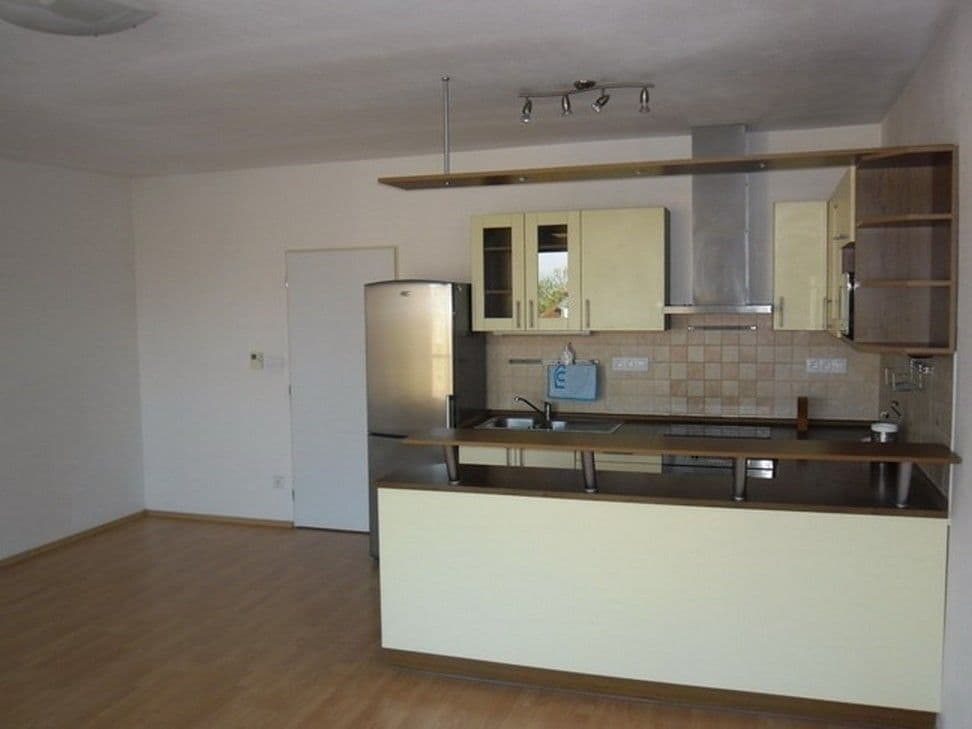 1 bedroom with open-plan kitchen flat to rent, 61 m², Karla Zicha, Prague, Prague 1 bedroom with open-plan kitchen flat to rent, 61 m², Karla Zicha, Prague, Prague