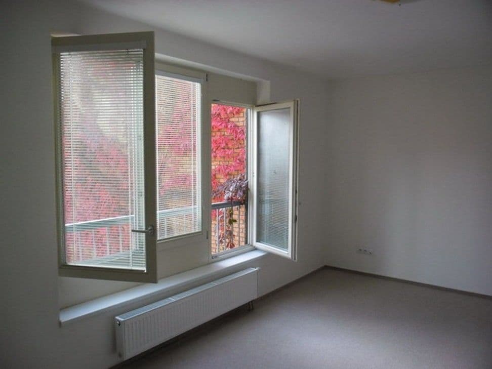 1 bedroom with open-plan kitchen flat to rent, 61 m², Karla Zicha, Prague, Prague 1 bedroom with open-plan kitchen flat to rent, 61 m², Karla Zicha, Prague, Prague