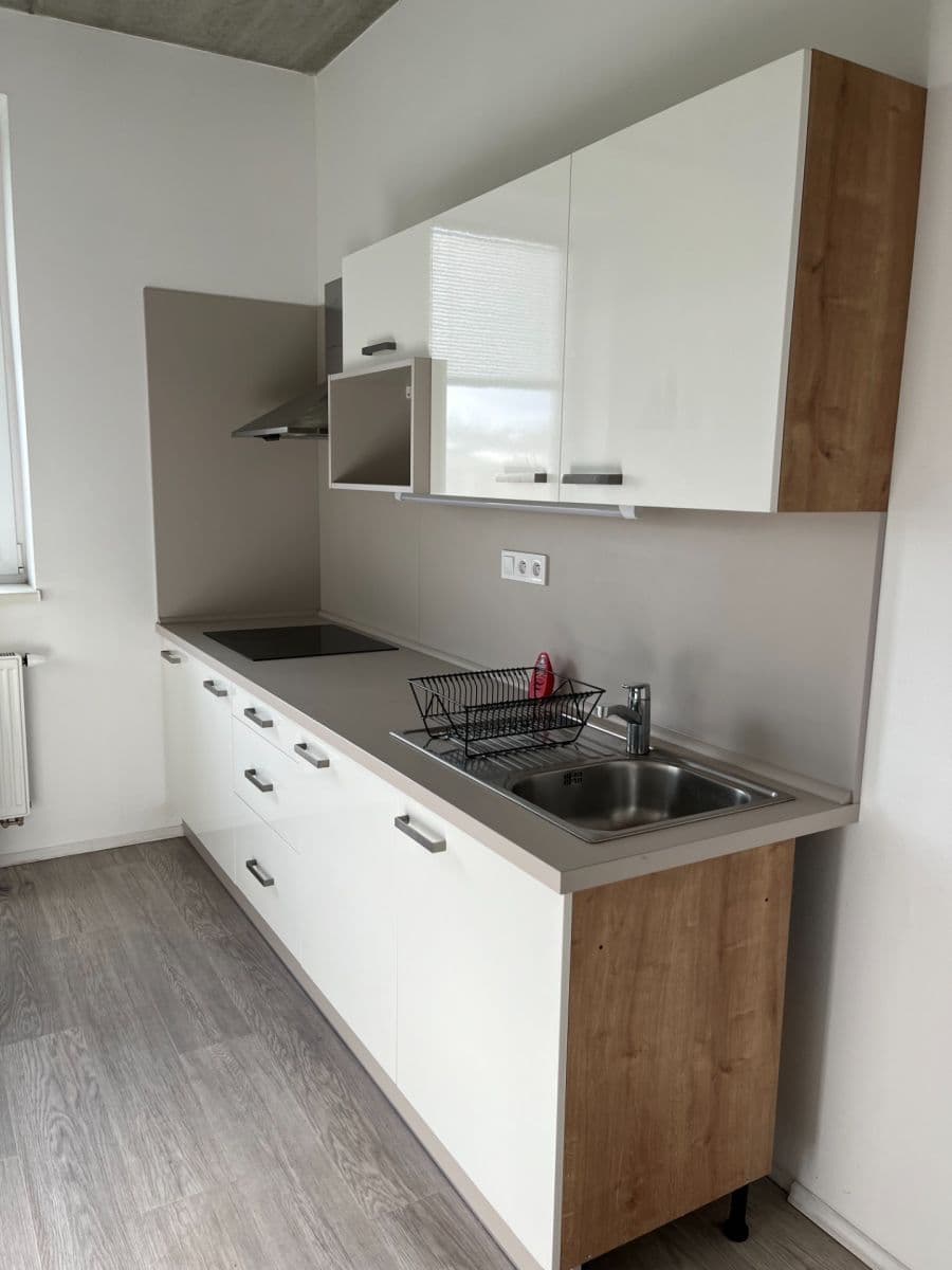 1 bedroom with open-plan kitchen flat to rent, 45 m², V Bytovkách, Prague, Prague 1 bedroom with open-plan kitchen flat to rent, 45 m², V Bytovkách, Prague, Prague