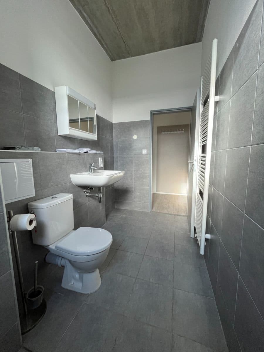 1 bedroom with open-plan kitchen flat to rent, 45 m², V Bytovkách, Prague, Prague 1 bedroom with open-plan kitchen flat to rent, 45 m², V Bytovkách, Prague, Prague