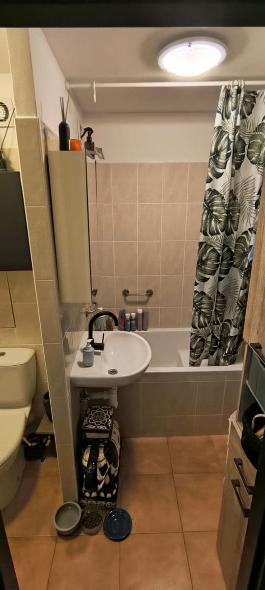 1 bedroom with open-plan kitchen flat for sale, 45 m², Zvoncovitá, Prague, Prague 1 bedroom with open-plan kitchen flat for sale, 45 m², Zvoncovitá, Prague, Prague