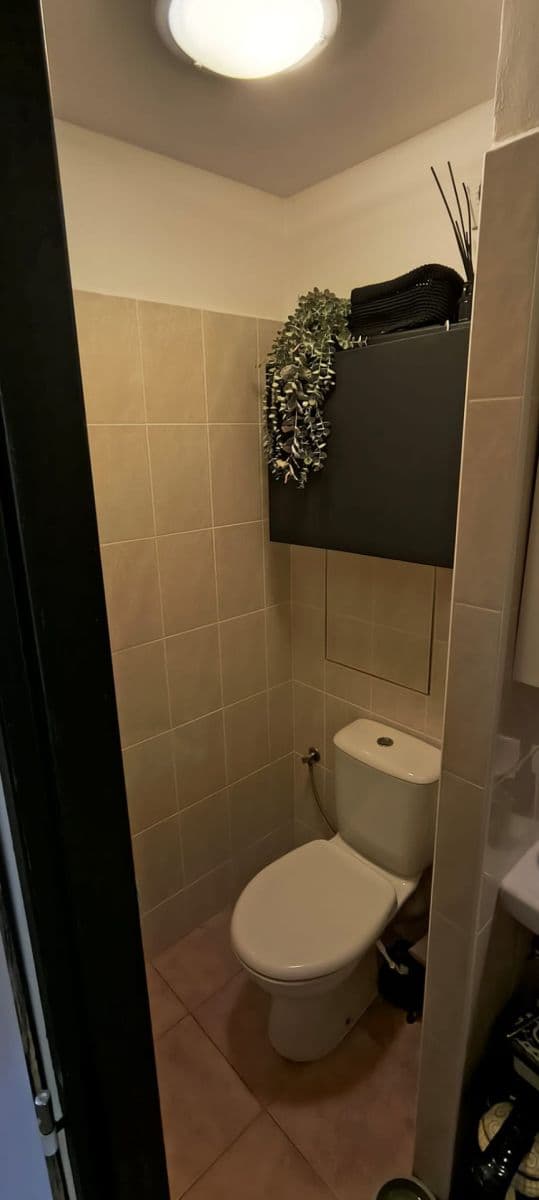 1 bedroom with open-plan kitchen flat for sale, 45 m², Zvoncovitá, Prague, Prague 1 bedroom with open-plan kitchen flat for sale, 45 m², Zvoncovitá, Prague, Prague
