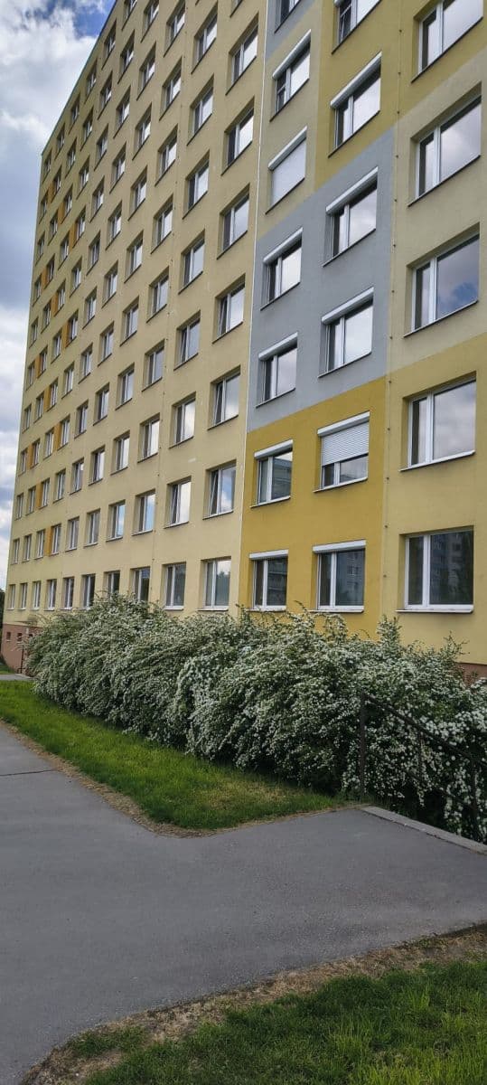 1 bedroom with open-plan kitchen flat for sale, 45 m², Zvoncovitá, Prague, Prague 1 bedroom with open-plan kitchen flat for sale, 45 m², Zvoncovitá, Prague, Prague