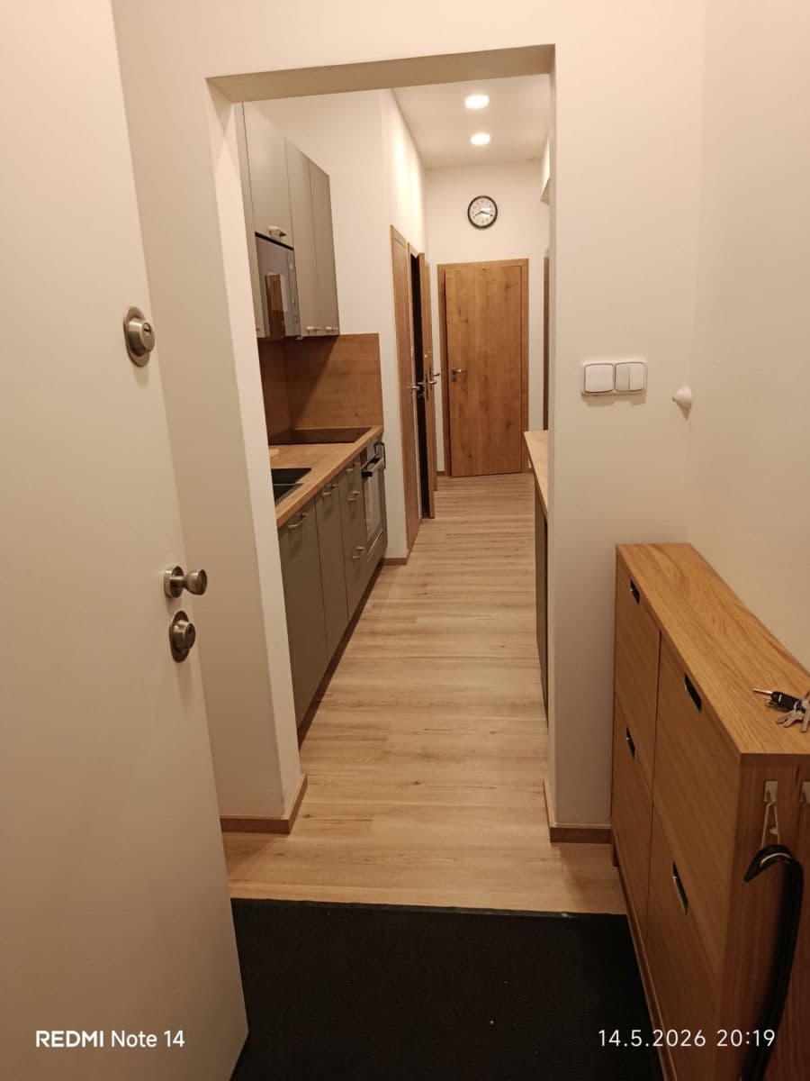 1 bedroom with open-plan kitchen flat to rent, 58 m², Podolská, Prague, Prague 1 bedroom with open-plan kitchen flat to rent, 58 m², Podolská, Prague, Prague