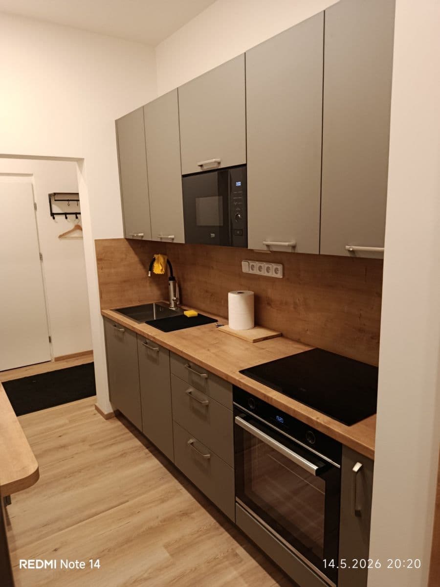 1 bedroom with open-plan kitchen flat to rent, 58 m², Podolská, Prague, Prague 1 bedroom with open-plan kitchen flat to rent, 58 m², Podolská, Prague, Prague