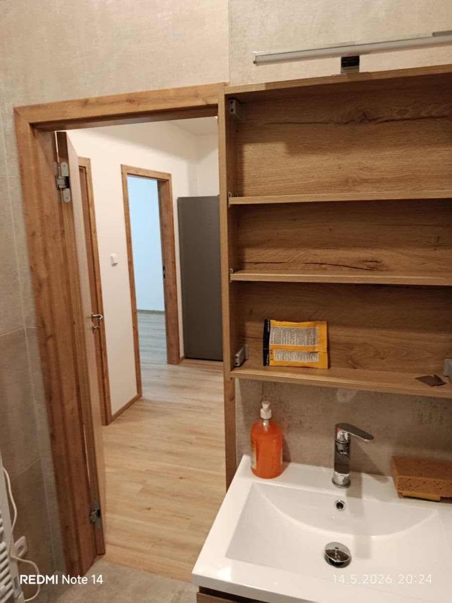 1 bedroom with open-plan kitchen flat to rent, 58 m², Podolská, Prague, Prague 1 bedroom with open-plan kitchen flat to rent, 58 m², Podolská, Prague, Prague