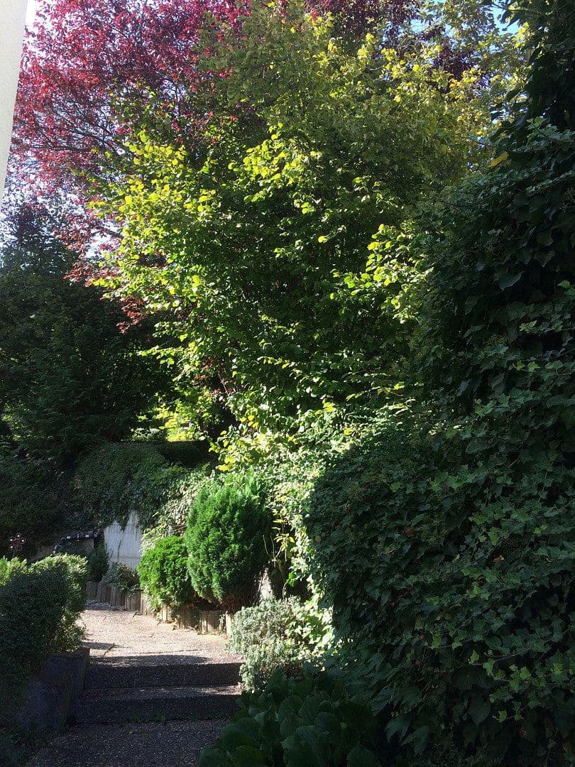1 bedroom flat to rent, 16 m², Stuttgart-Kaltental, Baden-Württemberg 1 bedroom flat to rent, 16 m², Stuttgart-Kaltental, Baden-Württemberg