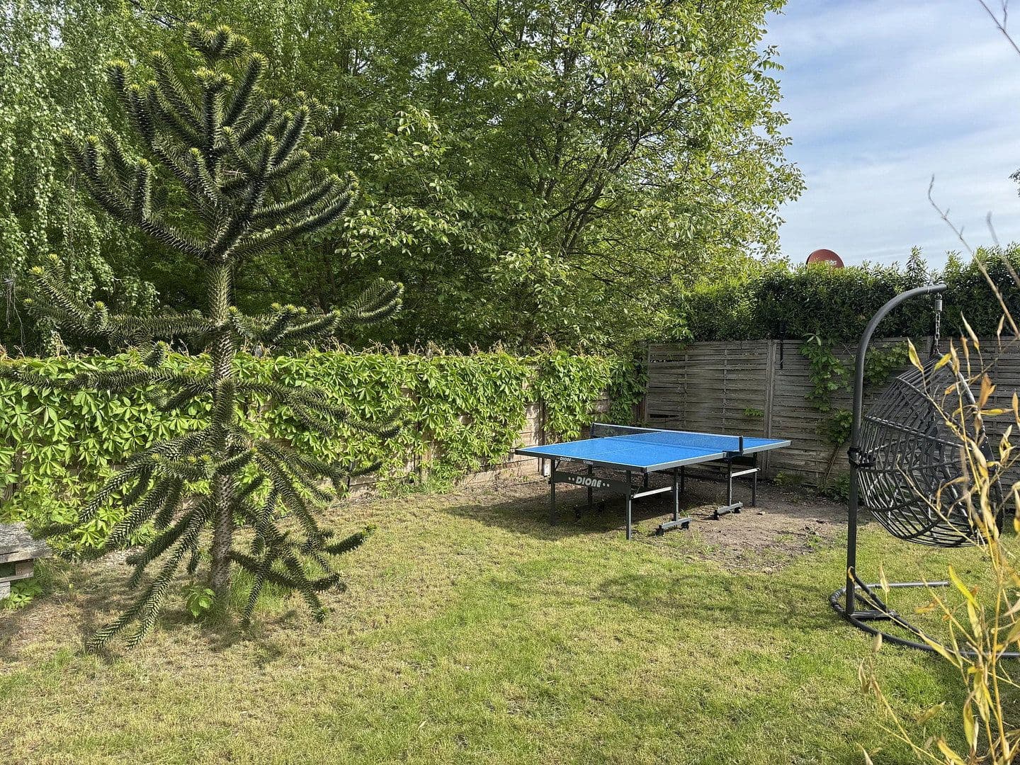1 bedroom flat to rent, 12 m², Berlin - Reinickendorf, Berlin 1 bedroom flat to rent, 12 m², Berlin - Reinickendorf, Berlin