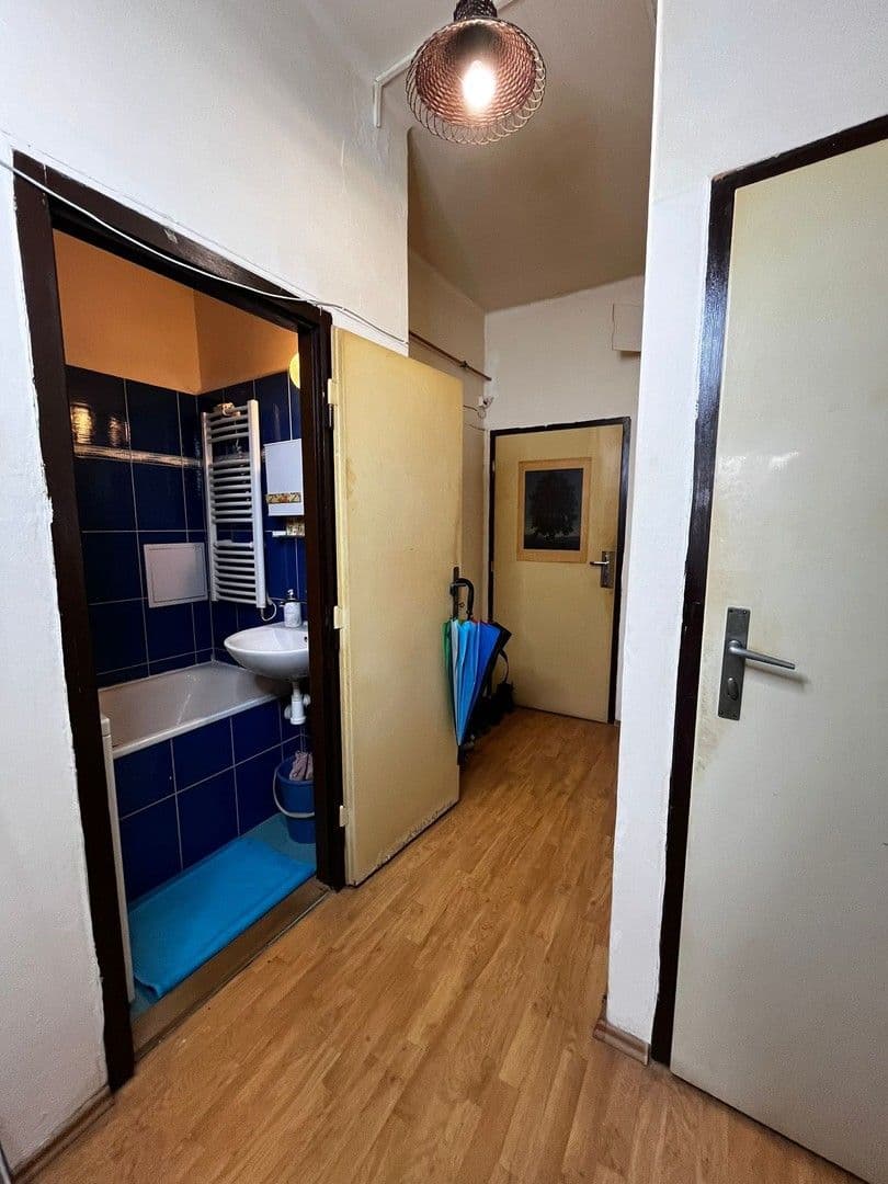 1 bedroom with open-plan kitchen flat to rent, 55 m², Oskara Nedbala, Hradec Králové, Královéhradecký Region 1 bedroom with open-plan kitchen flat to rent, 55 m², Oskara Nedbala, Hradec Králové, Královéhradecký Region