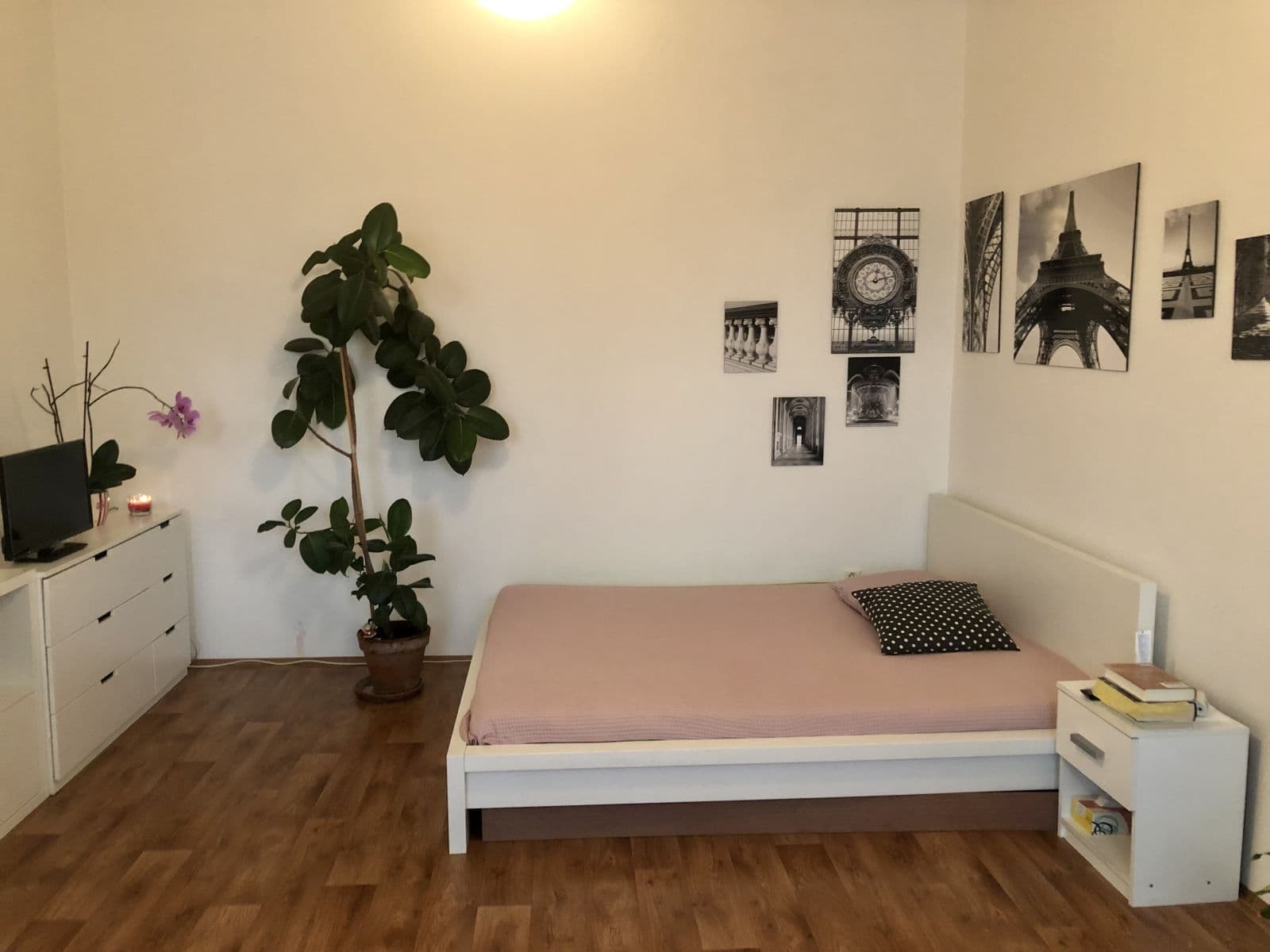 Studio flat to rent, 50 m², Na hrázi, Olomouc, Olomoucký Region Studio flat to rent, 50 m², Na hrázi, Olomouc, Olomoucký Region