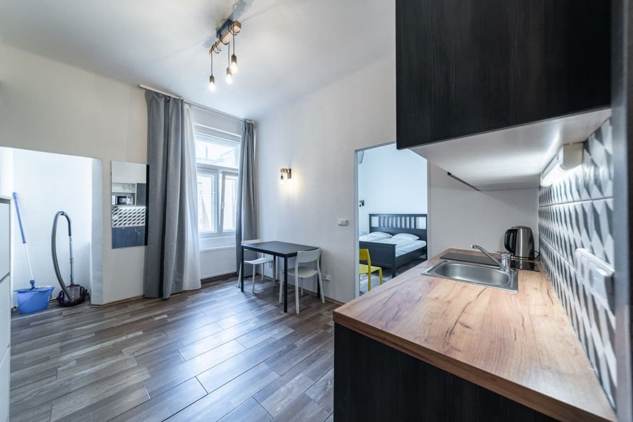 1 bedroom with open-plan kitchen flat to rent, 45 m², Navrátilova, Prague, Prague 1 bedroom with open-plan kitchen flat to rent, 45 m², Navrátilova, Prague, Prague