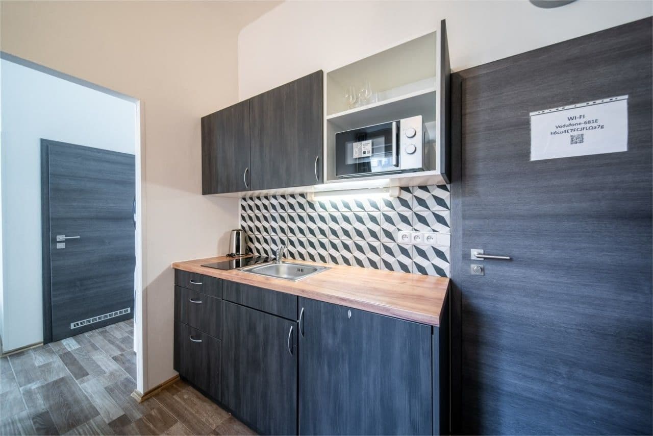 1 bedroom with open-plan kitchen flat to rent, 45 m², Navrátilova, Prague, Prague 1 bedroom with open-plan kitchen flat to rent, 45 m², Navrátilova, Prague, Prague