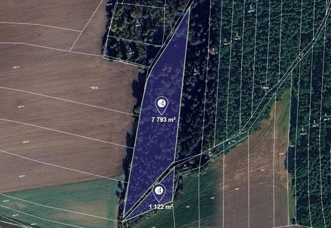 plot for sale, 8,915 m², Blížejov, Plzeňský Region plot for sale, 8,915 m², Blížejov, Plzeňský Region