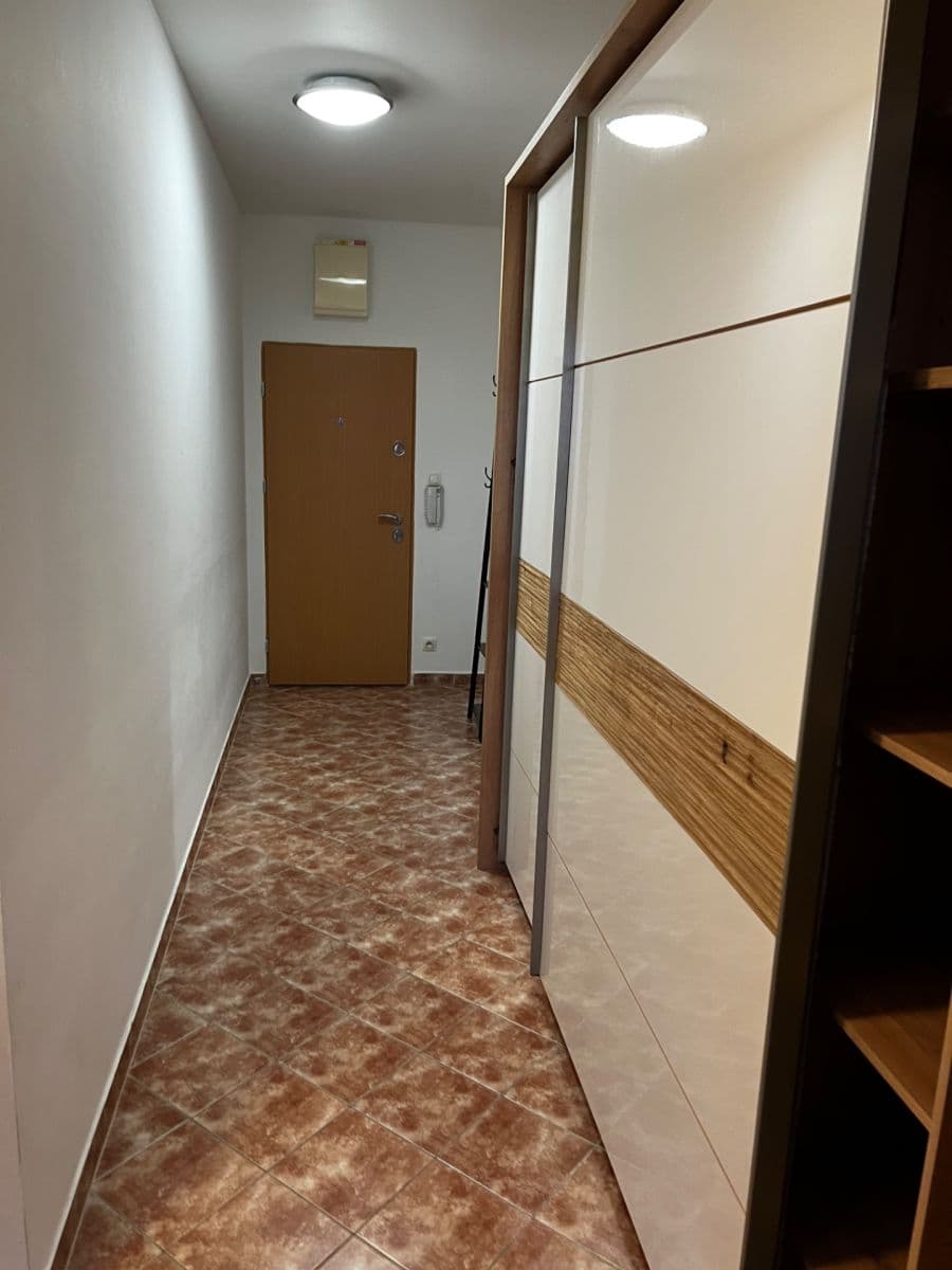 1 bedroom with open-plan kitchen flat to rent, 50 m², Pod Harfou, Prague, Prague 1 bedroom with open-plan kitchen flat to rent, 50 m², Pod Harfou, Prague, Prague