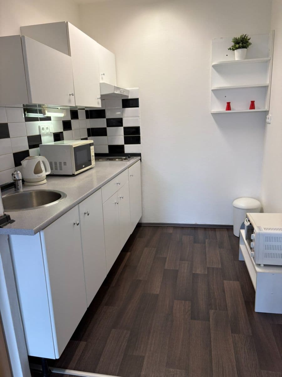 1 bedroom with open-plan kitchen flat to rent, 45 m², Kettnerova, Prague, Prague 1 bedroom with open-plan kitchen flat to rent, 45 m², Kettnerova, Prague, Prague