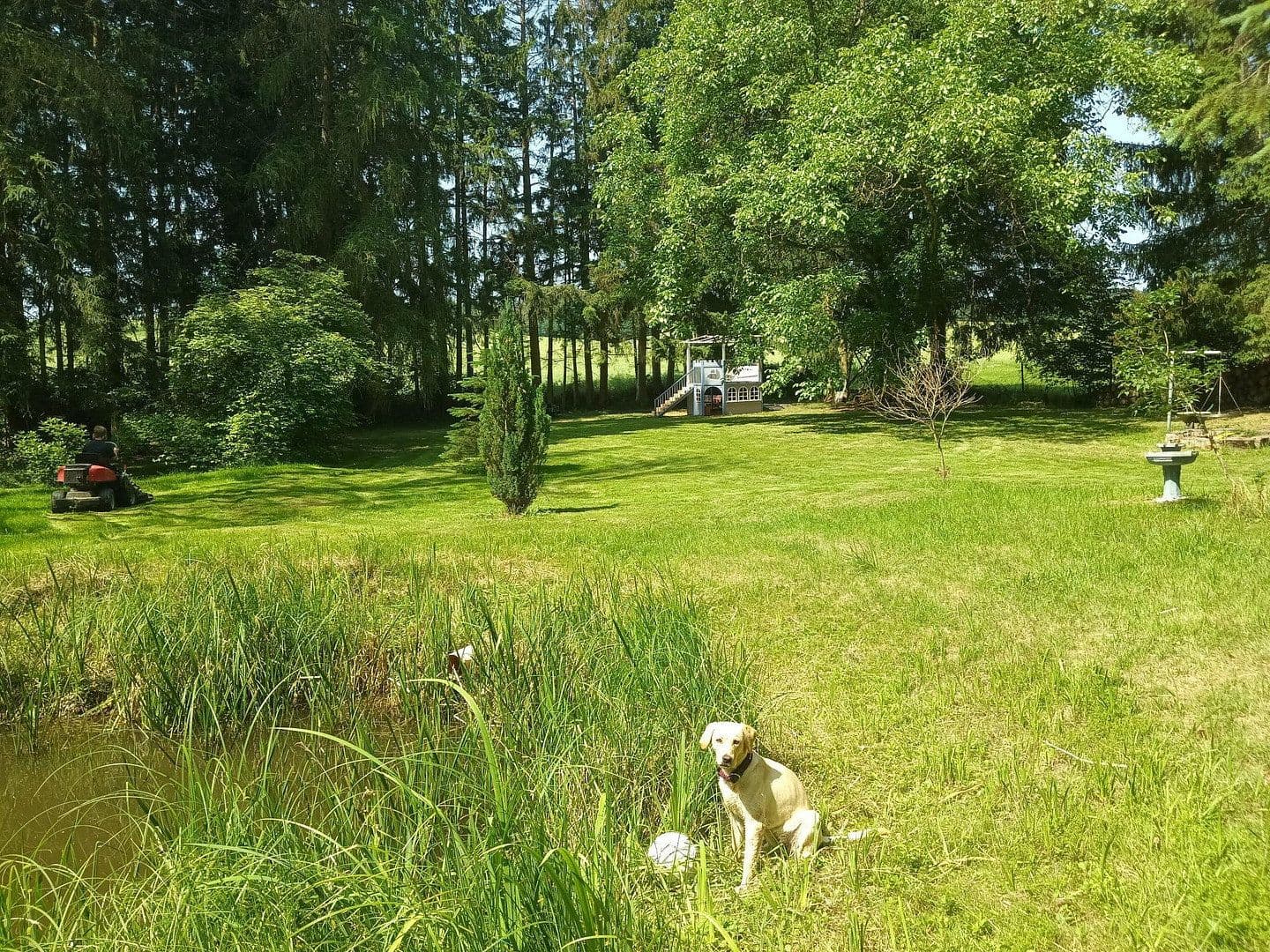 house for sale, 153 m², Ramsen, Rhineland-Palatinate house for sale, 153 m², Ramsen, Rhineland-Palatinate