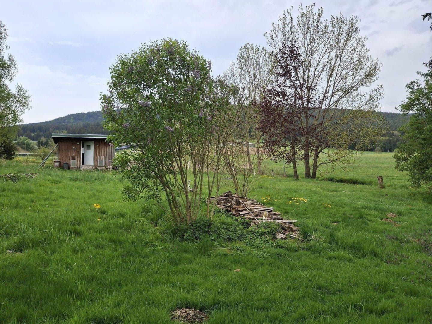 house for sale, 144 m², Regen, Bavaria house for sale, 144 m², Regen, Bavaria