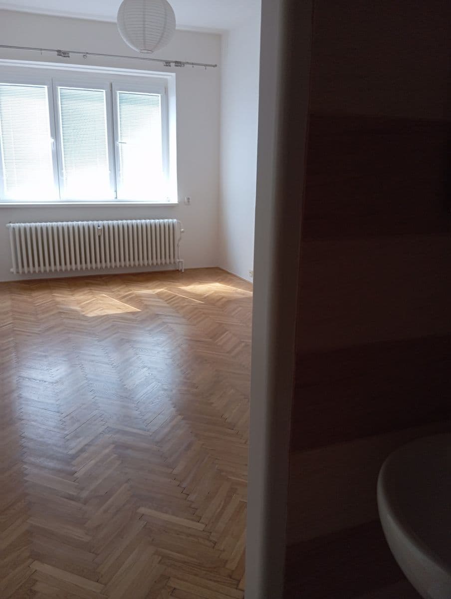 1 bedroom with open-plan kitchen flat to rent, 43 m², Plzeňská, Prague, Prague 1 bedroom with open-plan kitchen flat to rent, 43 m², Plzeňská, Prague, Prague