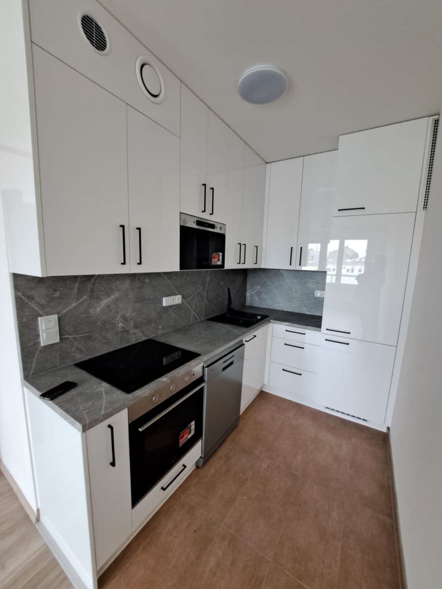 1 bedroom with open-plan kitchen flat to rent, 45 m², Arnošta Staňka, Prague, Prague 1 bedroom with open-plan kitchen flat to rent, 45 m², Arnošta Staňka, Prague, Prague