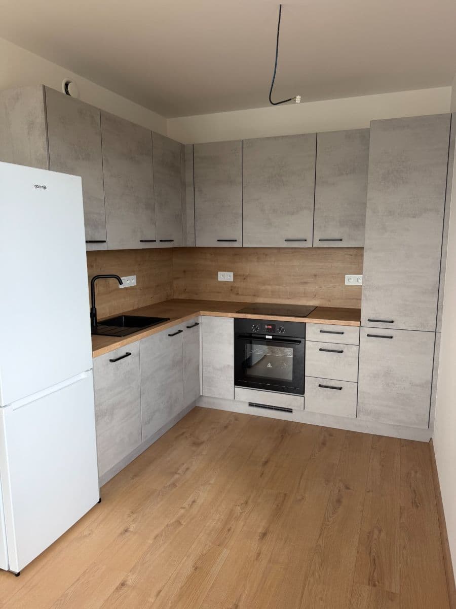 1 bedroom with open-plan kitchen flat to rent, 48 m², Strančická, Prague, Prague 1 bedroom with open-plan kitchen flat to rent, 48 m², Strančická, Prague, Prague