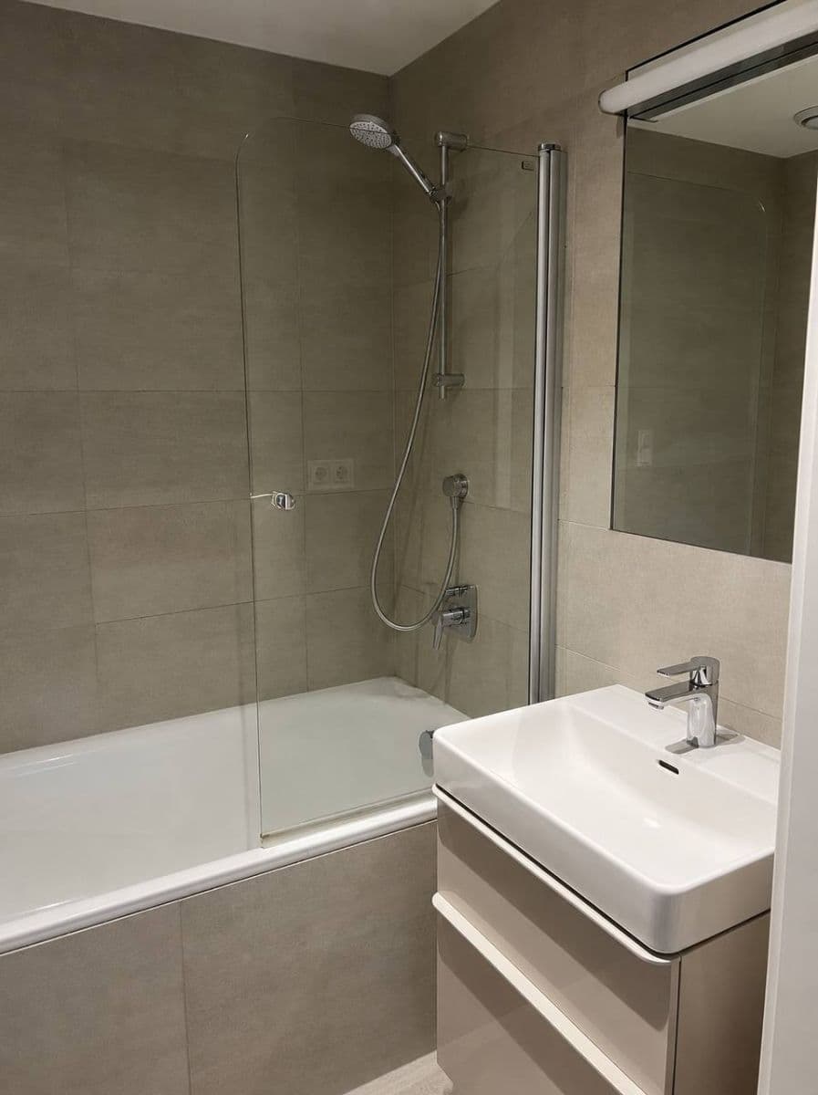 1 bedroom with open-plan kitchen flat to rent, 53 m², Zenklova, Prague, Prague 1 bedroom with open-plan kitchen flat to rent, 53 m², Zenklova, Prague, Prague