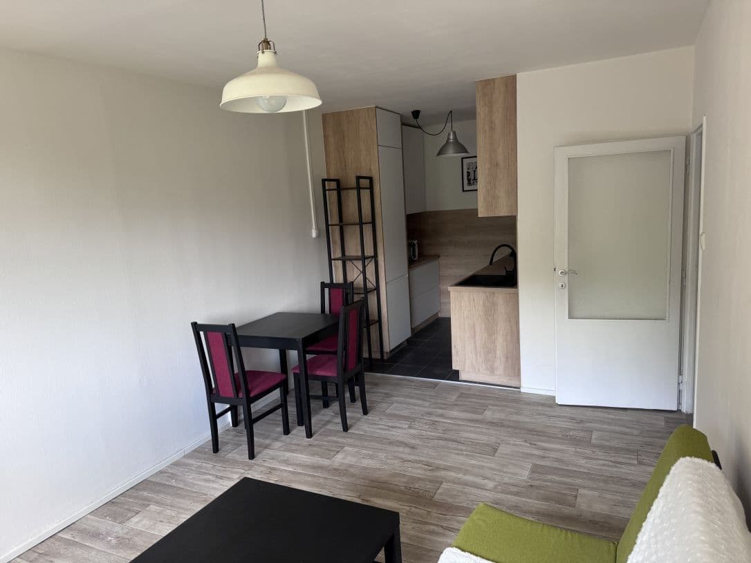 1 bedroom with open-plan kitchen flat to rent, 50 m², Kytlická, Prague, Prague 1 bedroom with open-plan kitchen flat to rent, 50 m², Kytlická, Prague, Prague