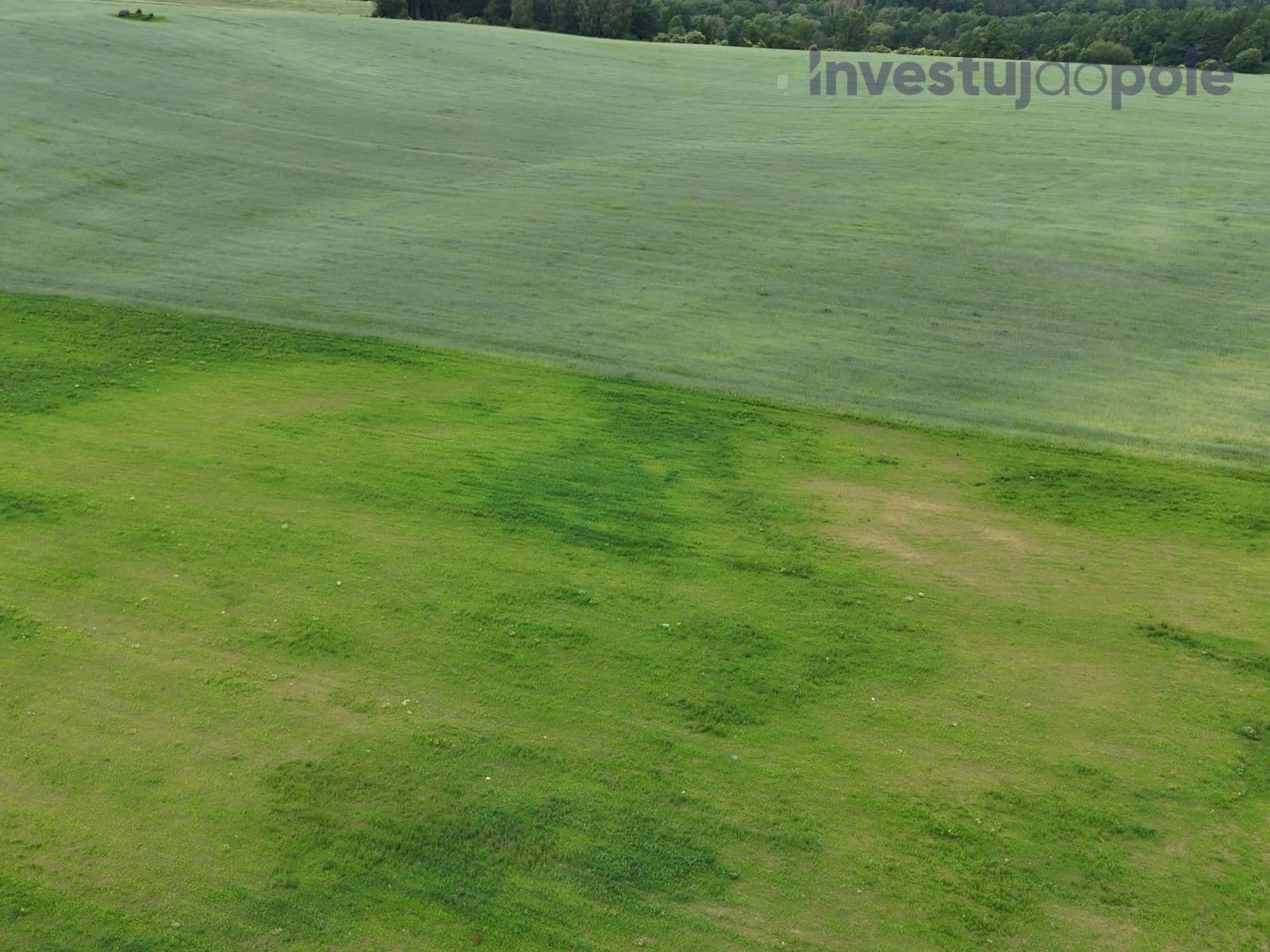 plot for sale, 74,010 m², Otovice, Karlovarský Region plot for sale, 74,010 m², Otovice, Karlovarský Region