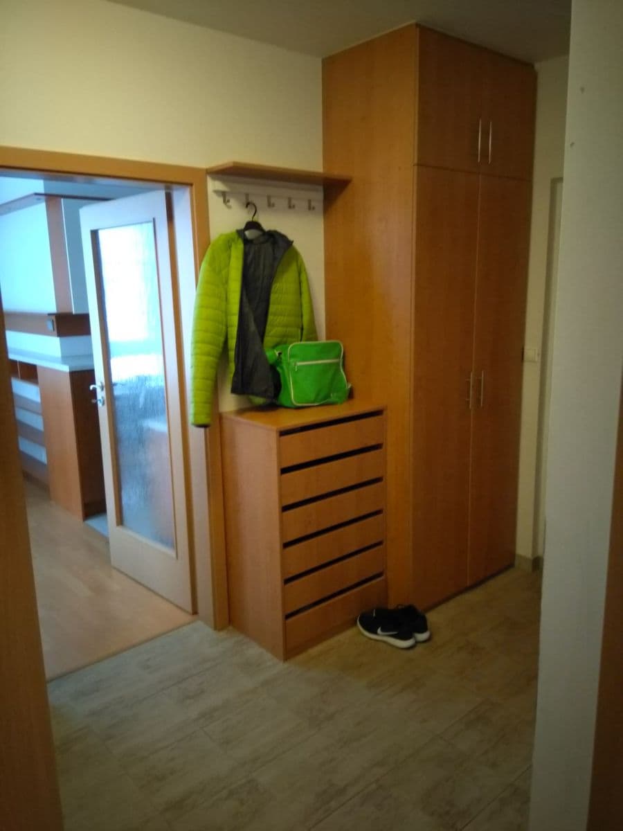 1 bedroom with open-plan kitchen flat to rent, 54 m², Smetáčkova, Prague, Prague 1 bedroom with open-plan kitchen flat to rent, 54 m², Smetáčkova, Prague, Prague