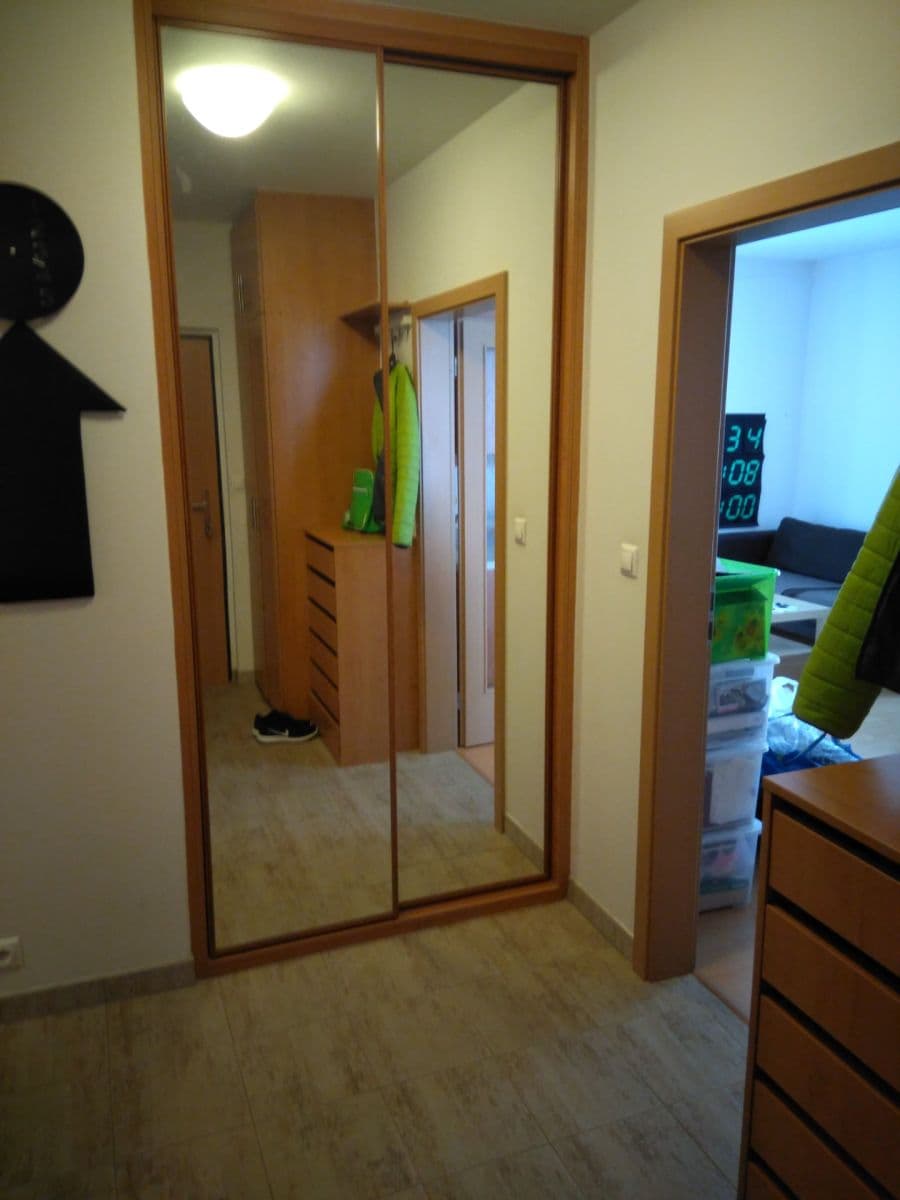1 bedroom with open-plan kitchen flat to rent, 54 m², Smetáčkova, Prague, Prague 1 bedroom with open-plan kitchen flat to rent, 54 m², Smetáčkova, Prague, Prague