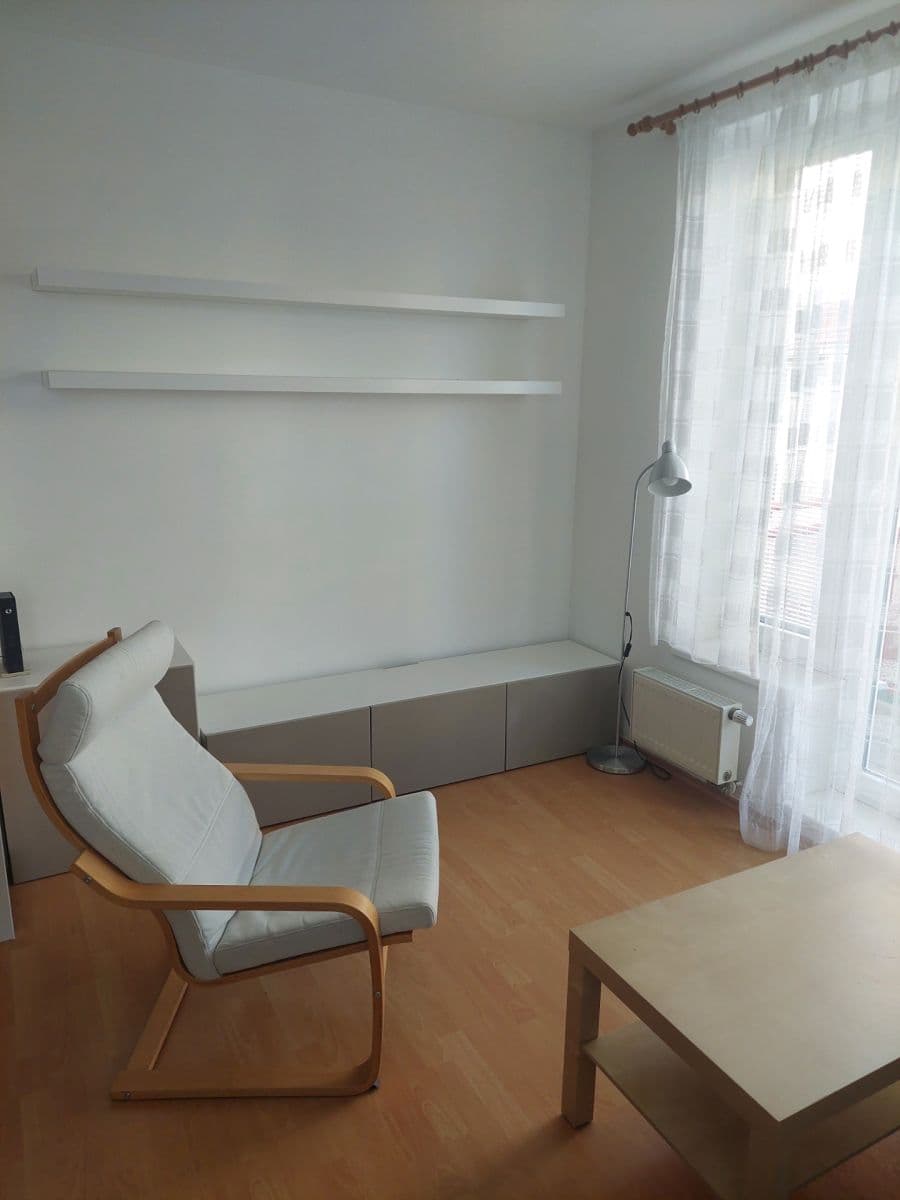 1 bedroom with open-plan kitchen flat to rent, 55 m², Smetáčkova, Prague, Prague 1 bedroom with open-plan kitchen flat to rent, 55 m², Smetáčkova, Prague, Prague