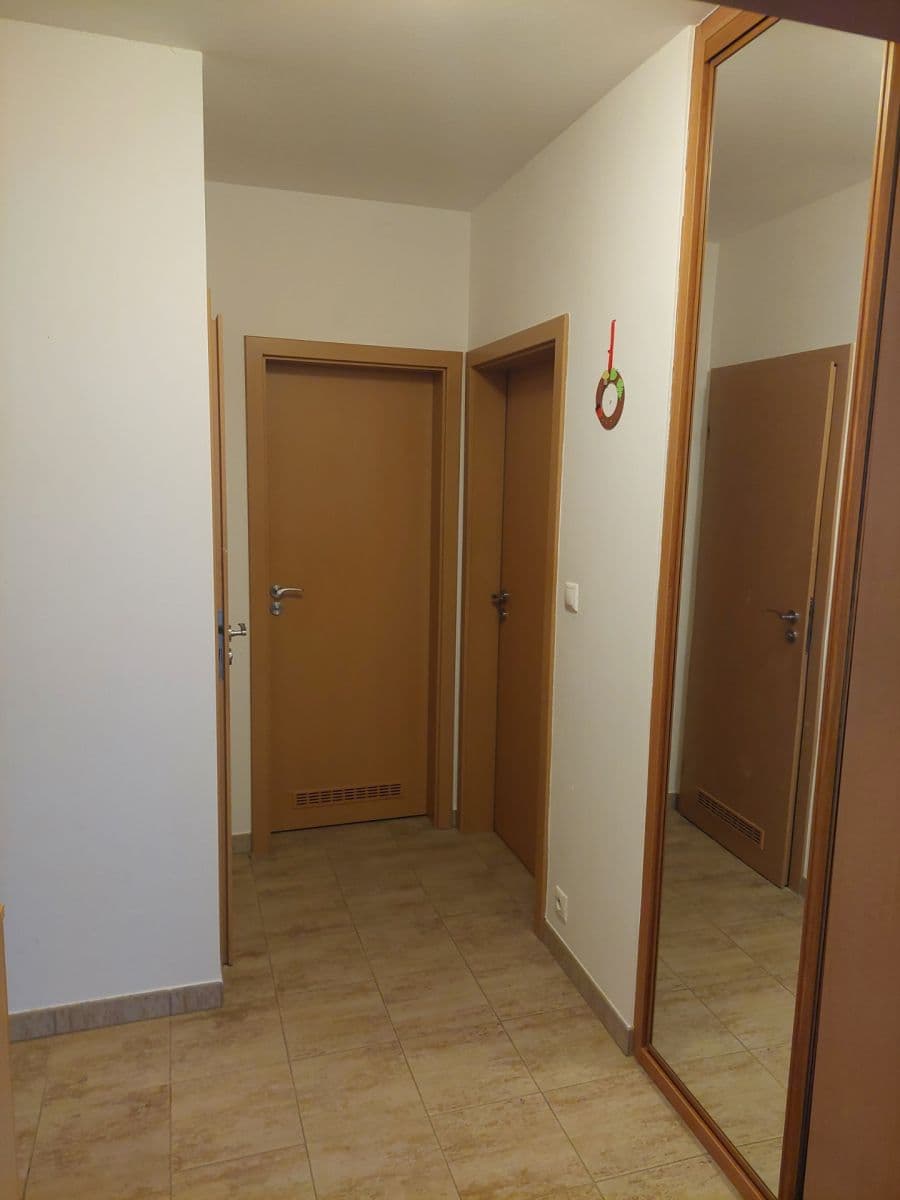 1 bedroom with open-plan kitchen flat to rent, 55 m², Smetáčkova, Prague, Prague 1 bedroom with open-plan kitchen flat to rent, 55 m², Smetáčkova, Prague, Prague