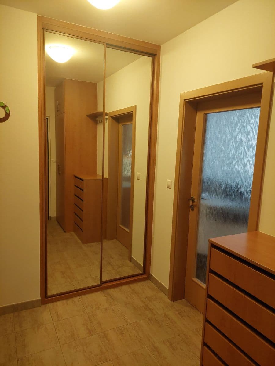 1 bedroom with open-plan kitchen flat to rent, 55 m², Smetáčkova, Prague, Prague 1 bedroom with open-plan kitchen flat to rent, 55 m², Smetáčkova, Prague, Prague