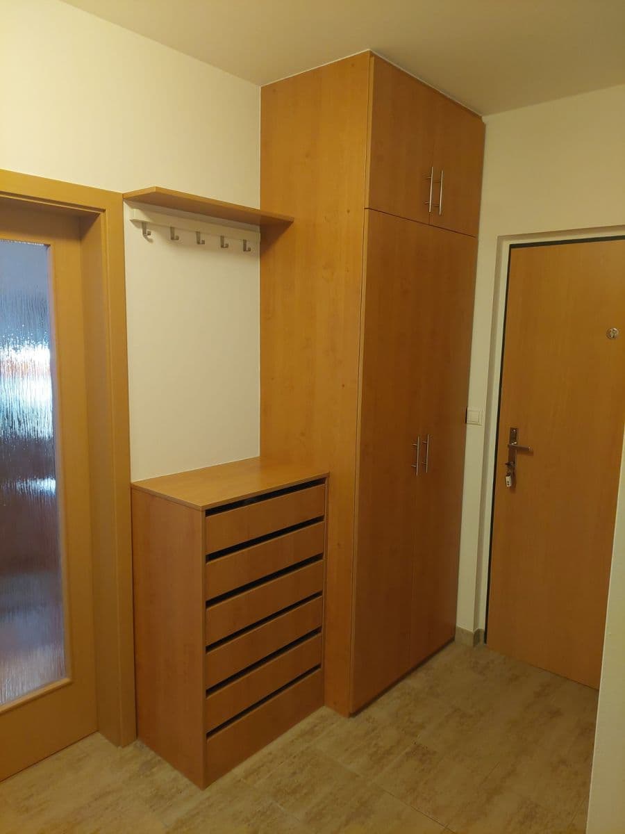 1 bedroom with open-plan kitchen flat to rent, 55 m², Smetáčkova, Prague, Prague 1 bedroom with open-plan kitchen flat to rent, 55 m², Smetáčkova, Prague, Prague