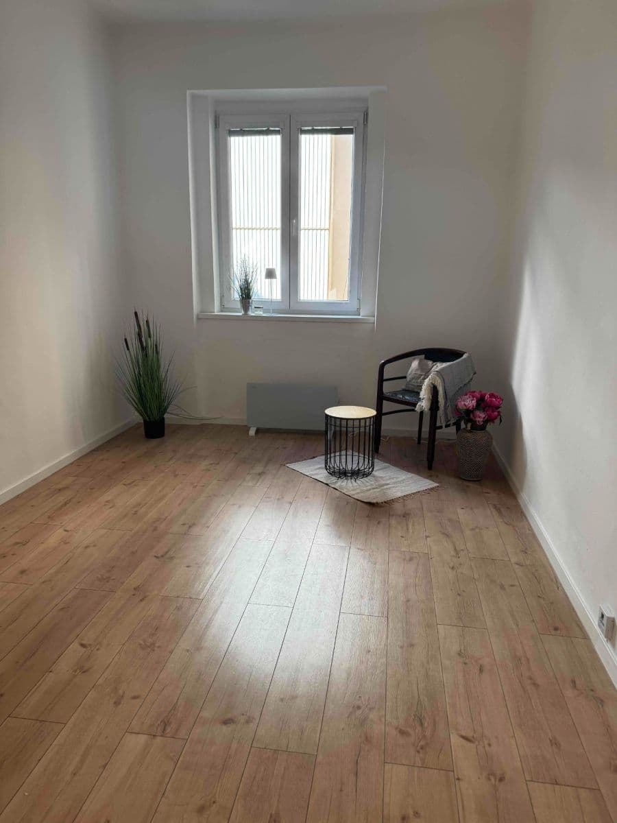 1 bedroom with open-plan kitchen flat to rent, 40 m², Vrchlického, Prague, Prague 1 bedroom with open-plan kitchen flat to rent, 40 m², Vrchlického, Prague, Prague