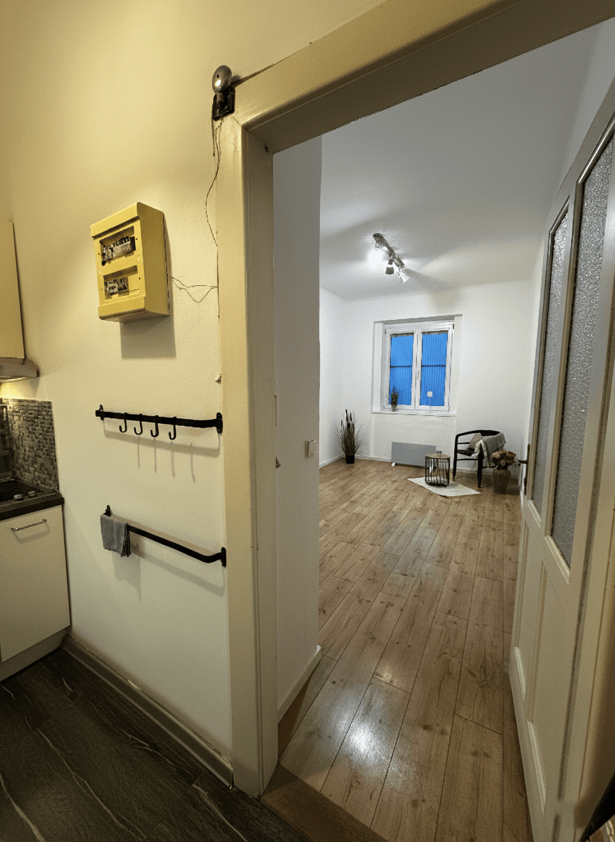 1 bedroom with open-plan kitchen flat to rent, 40 m², Vrchlického, Prague, Prague 1 bedroom with open-plan kitchen flat to rent, 40 m², Vrchlického, Prague, Prague