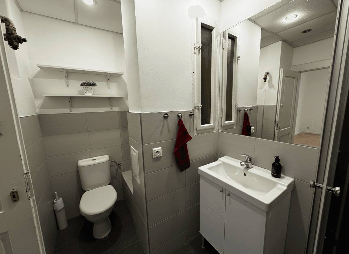 1 bedroom with open-plan kitchen flat to rent, 40 m², Vrchlického, Prague, Prague 1 bedroom with open-plan kitchen flat to rent, 40 m², Vrchlického, Prague, Prague