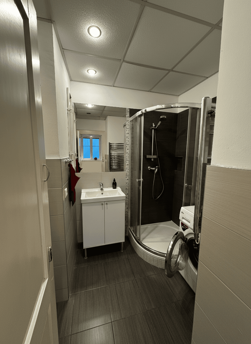 1 bedroom with open-plan kitchen flat to rent, 40 m², Vrchlického, Prague, Prague 1 bedroom with open-plan kitchen flat to rent, 40 m², Vrchlického, Prague, Prague