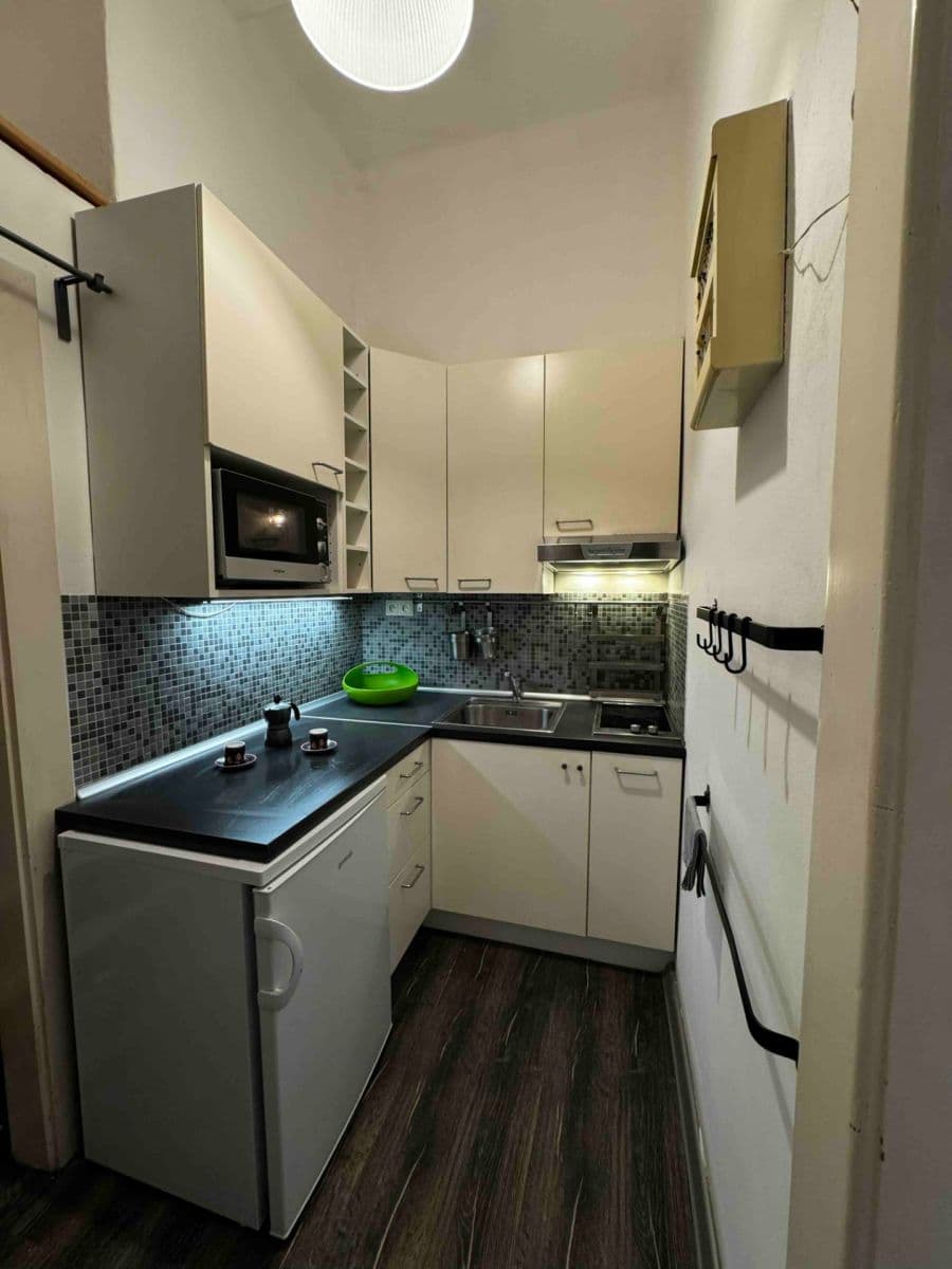 1 bedroom with open-plan kitchen flat to rent, 40 m², Vrchlického, Prague, Prague 1 bedroom with open-plan kitchen flat to rent, 40 m², Vrchlického, Prague, Prague