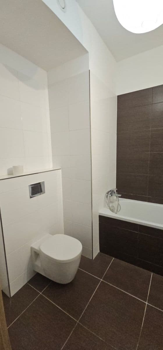 1 bedroom with open-plan kitchen flat to rent, 63 m², Žitenická, Prague, Prague 1 bedroom with open-plan kitchen flat to rent, 63 m², Žitenická, Prague, Prague