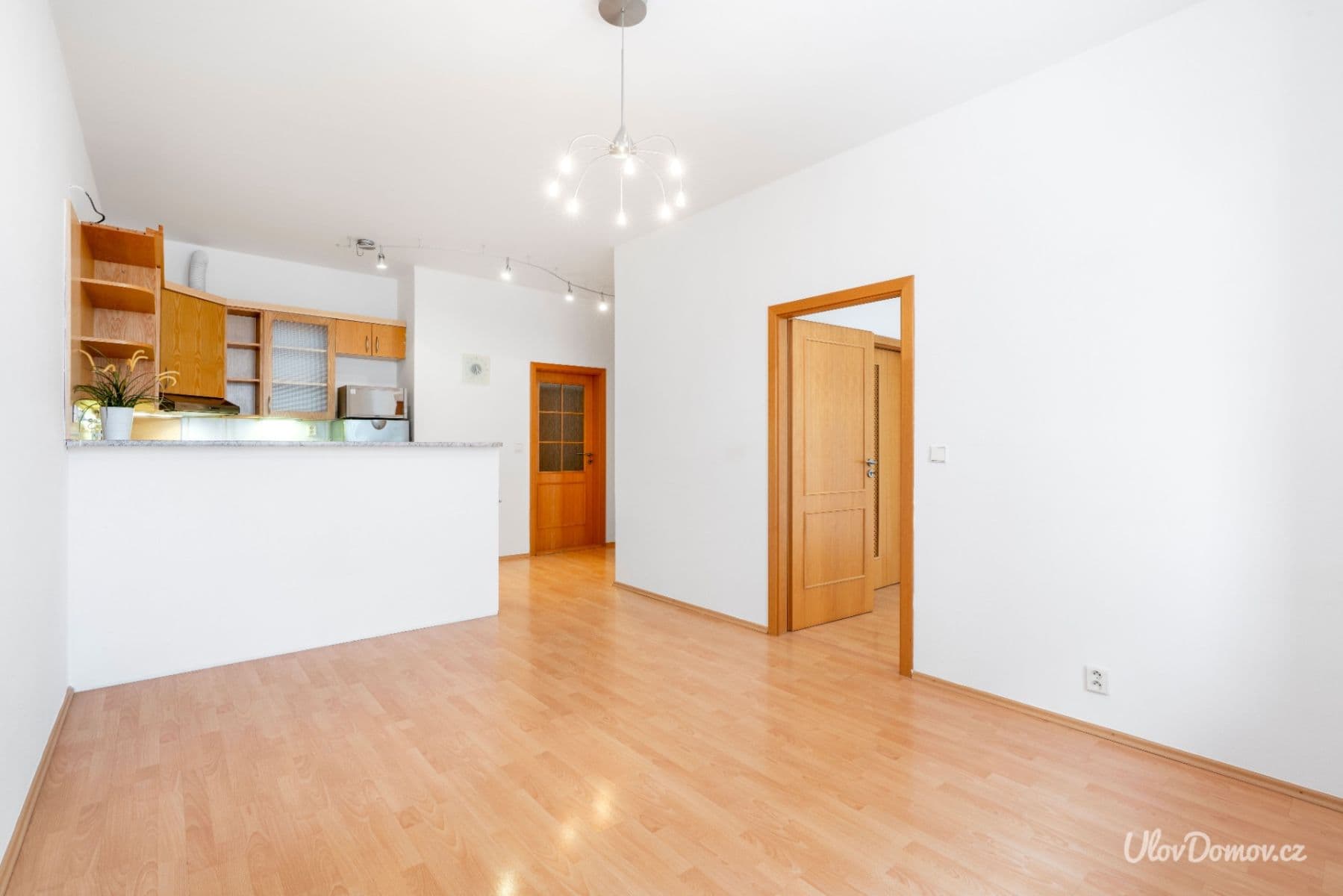 1 bedroom with open-plan kitchen flat to rent, 52 m², Lukášova, Prague, Prague 1 bedroom with open-plan kitchen flat to rent, 52 m², Lukášova, Prague, Prague