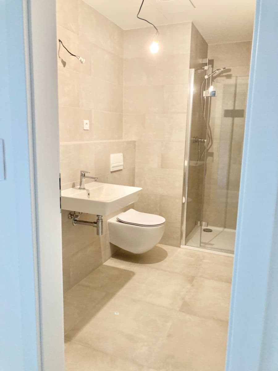 1 bedroom with open-plan kitchen flat to rent, 47 m², Arnošta Valenty, Prague, Prague 1 bedroom with open-plan kitchen flat to rent, 47 m², Arnošta Valenty, Prague, Prague