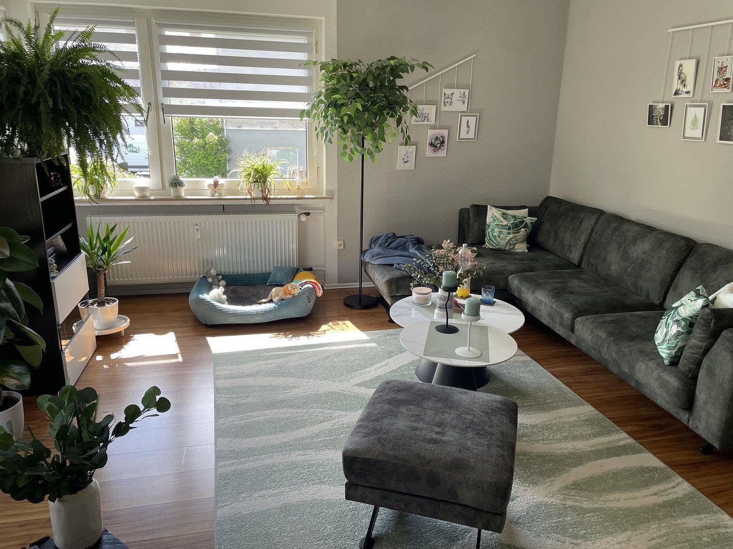 4 bedroom flat to rent, 90 m², Schieder-Schwalenberg, North Rhine-Westphalia 4 bedroom flat to rent, 90 m², Schieder-Schwalenberg, North Rhine-Westphalia