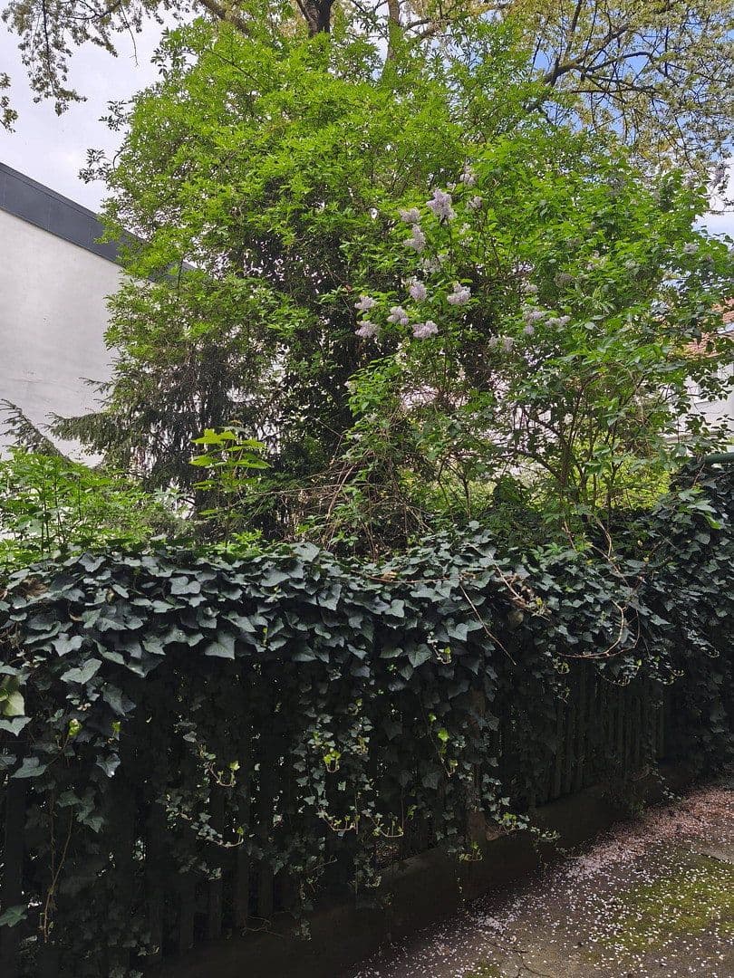 flat to rent, 18 m², Herrlachstrasse, Mannheim, Baden-Württemberg flat to rent, 18 m², Herrlachstrasse, Mannheim, Baden-Württemberg