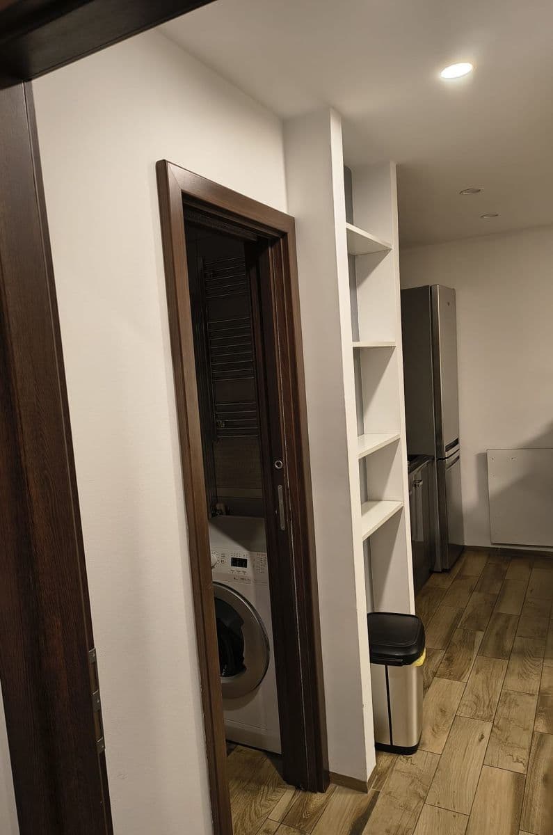 1 bedroom with open-plan kitchen flat to rent, 56 m², Pitterova, Prague, Prague 1 bedroom with open-plan kitchen flat to rent, 56 m², Pitterova, Prague, Prague