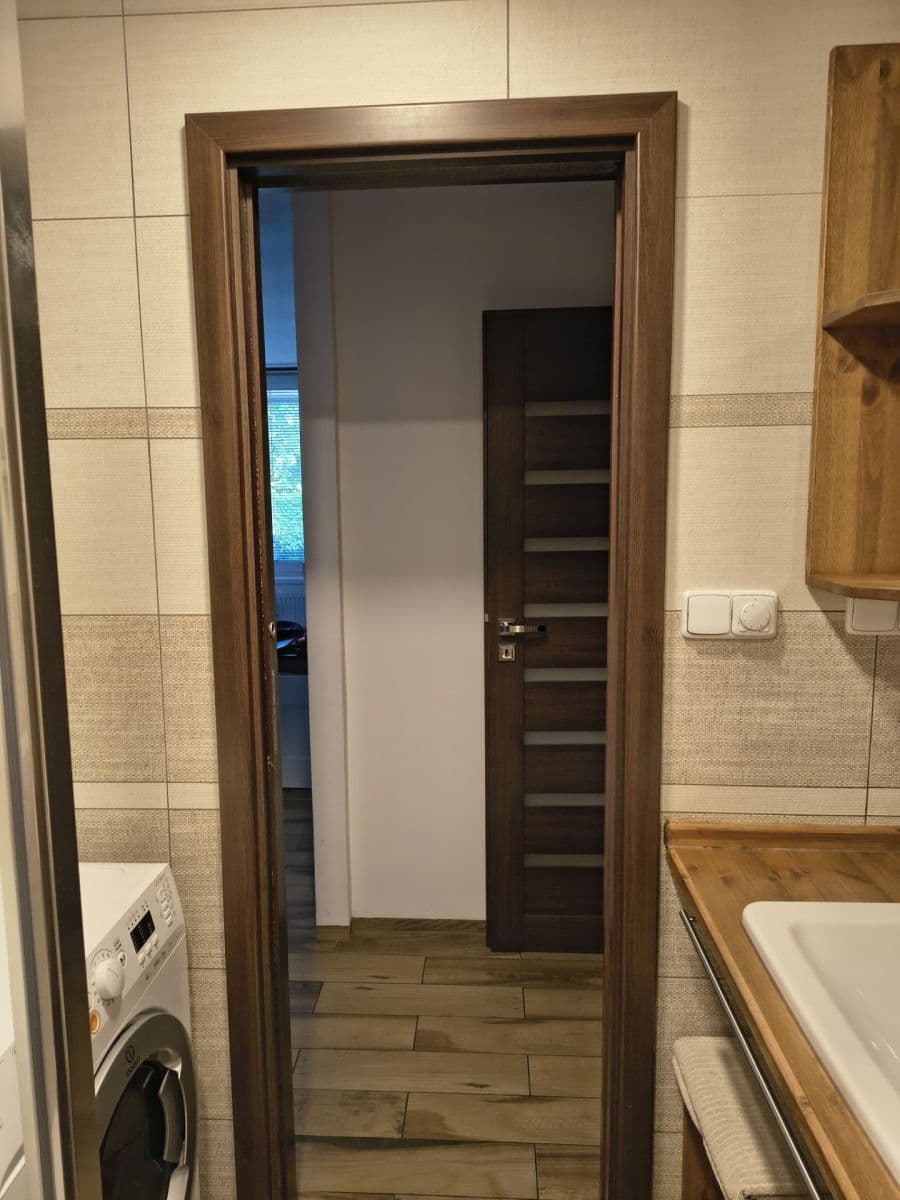 1 bedroom with open-plan kitchen flat to rent, 56 m², Pitterova, Prague, Prague 1 bedroom with open-plan kitchen flat to rent, 56 m², Pitterova, Prague, Prague