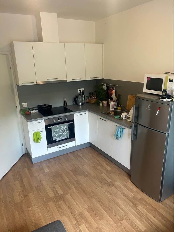 1 bedroom with open-plan kitchen flat to rent, 45 m², Podbělohorská, Prague, Prague 1 bedroom with open-plan kitchen flat to rent, 45 m², Podbělohorská, Prague, Prague
