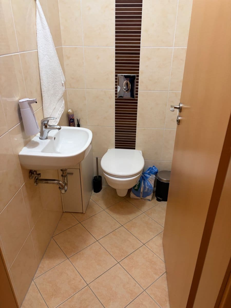 1 bedroom with open-plan kitchen flat to rent, 50 m², Musílkova, Prague, Prague 1 bedroom with open-plan kitchen flat to rent, 50 m², Musílkova, Prague, Prague