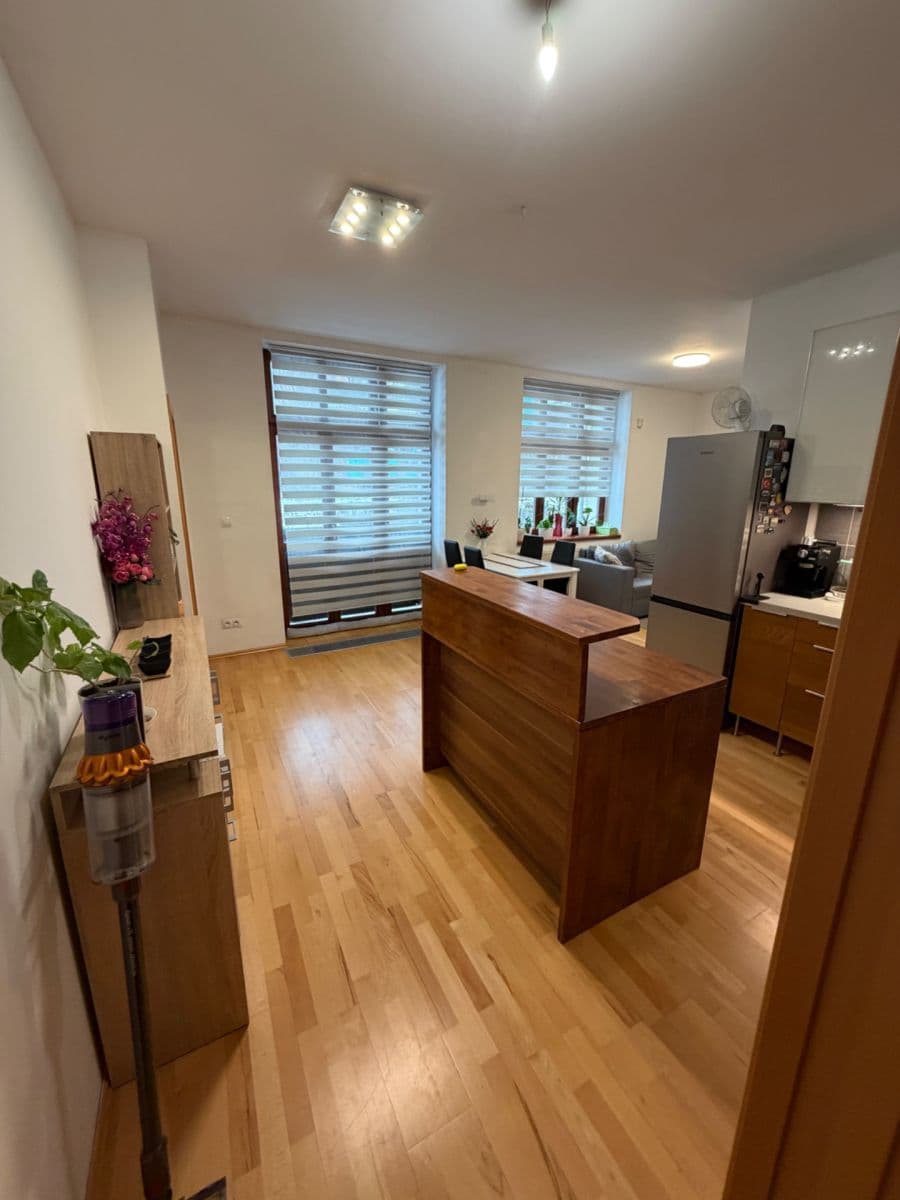 1 bedroom with open-plan kitchen flat to rent, 50 m², Musílkova, Prague, Prague 1 bedroom with open-plan kitchen flat to rent, 50 m², Musílkova, Prague, Prague