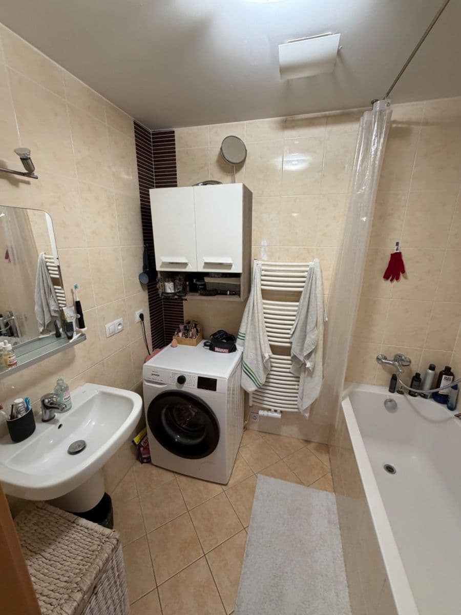 1 bedroom with open-plan kitchen flat to rent, 50 m², Musílkova, Prague, Prague 1 bedroom with open-plan kitchen flat to rent, 50 m², Musílkova, Prague, Prague
