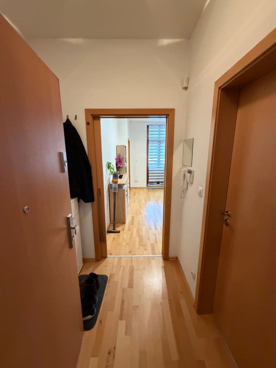 1 bedroom with open-plan kitchen flat to rent, 50 m², Musílkova, Prague, Prague 1 bedroom with open-plan kitchen flat to rent, 50 m², Musílkova, Prague, Prague
